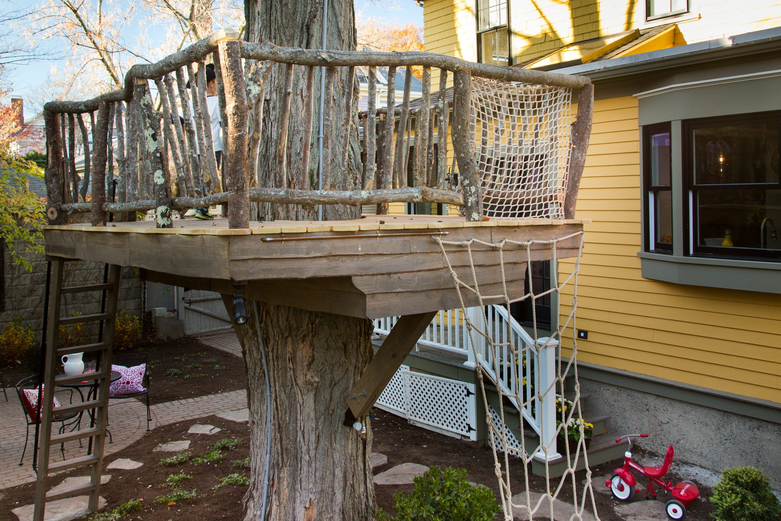 Building A Treehouse Between 3 Trees at Edwin Haak blog