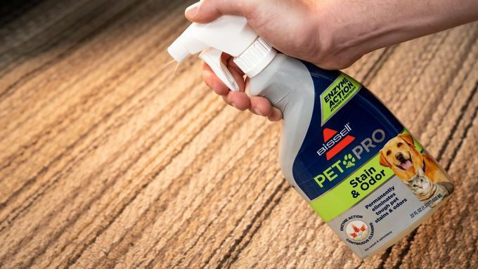 best carpet stain remover