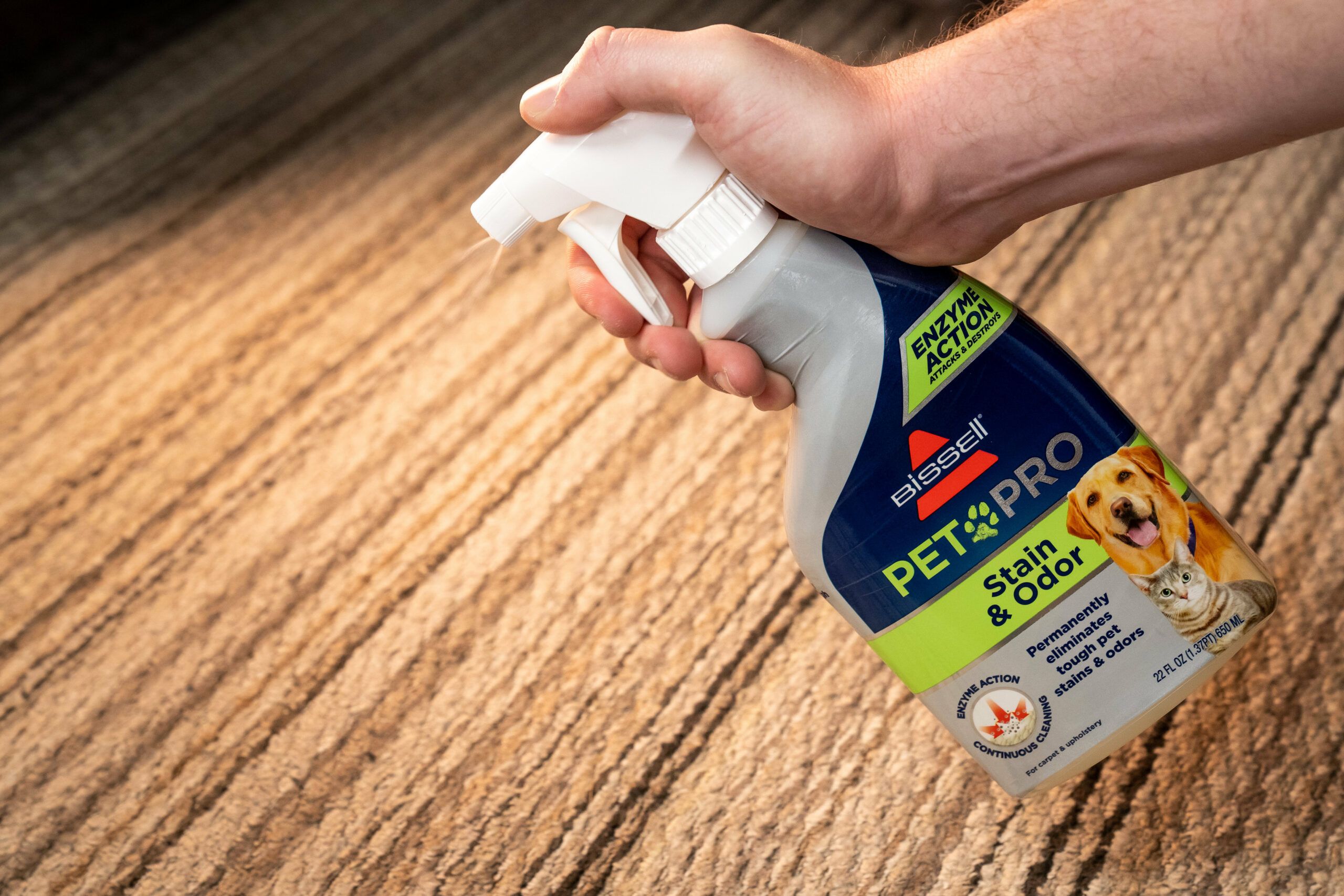 best_carpet_stain_remover_panel