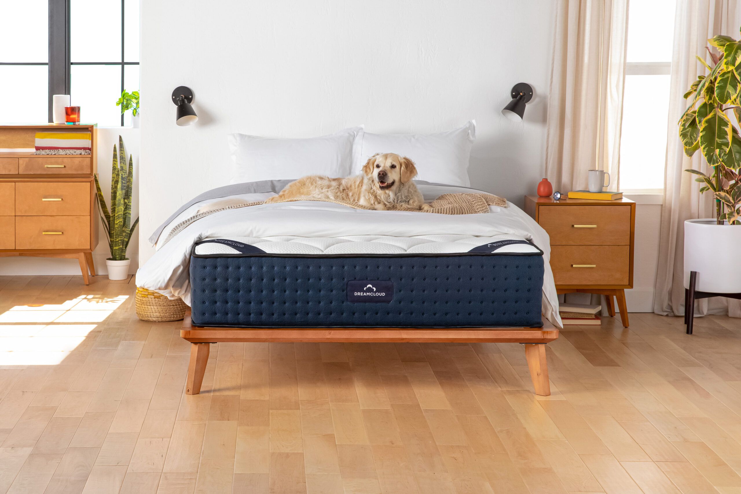 Best mattress for combo sleepers sale