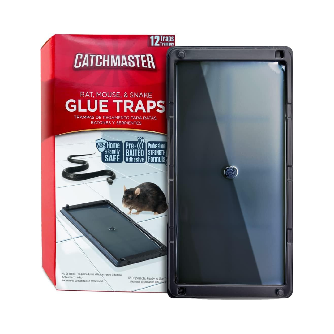 Top 5 Types of Rat Traps to Buy in 2022