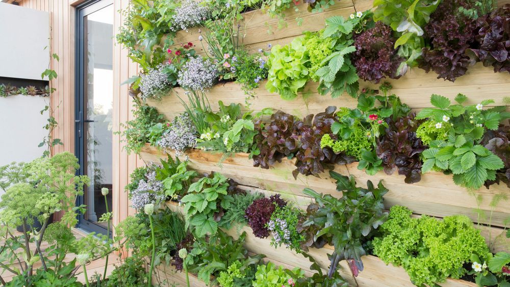 A wall gardened installed in the backyard of a home.