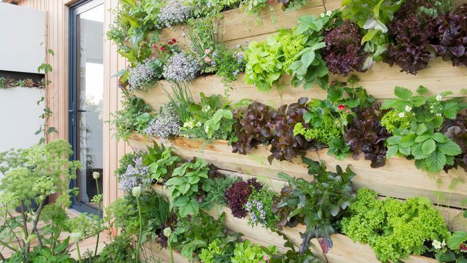 A wall gardened installed in the backyard of a home.