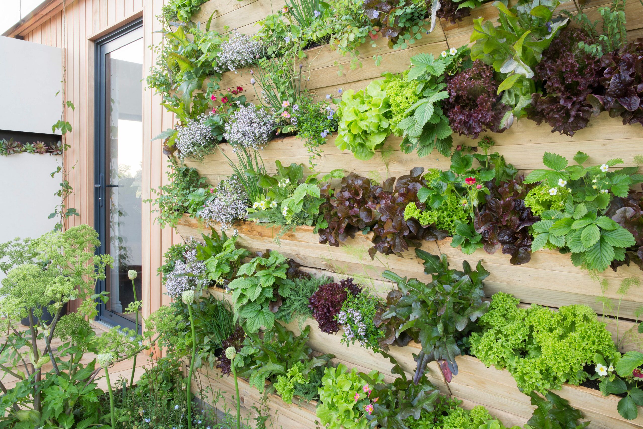 indoor living herb wall