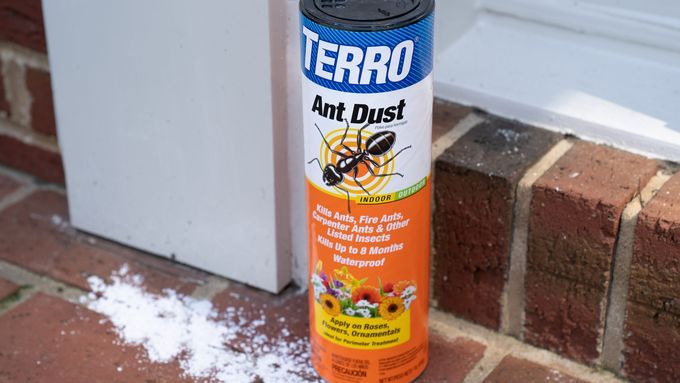 Best ant killer, best ant killers cover image