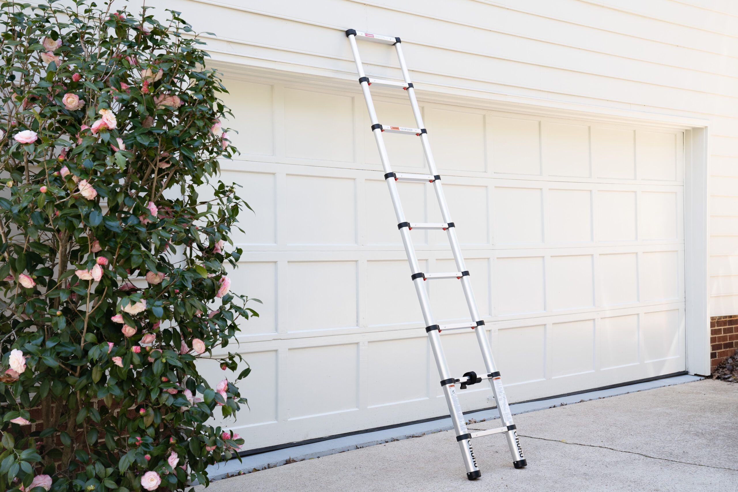 Expanding on sale extension ladder