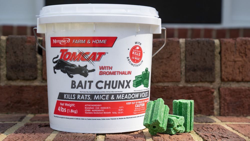 Feature image for the best rat poison guide, shows a white, red, and black bucket of bright green Tomcat brand rat poison pellets.