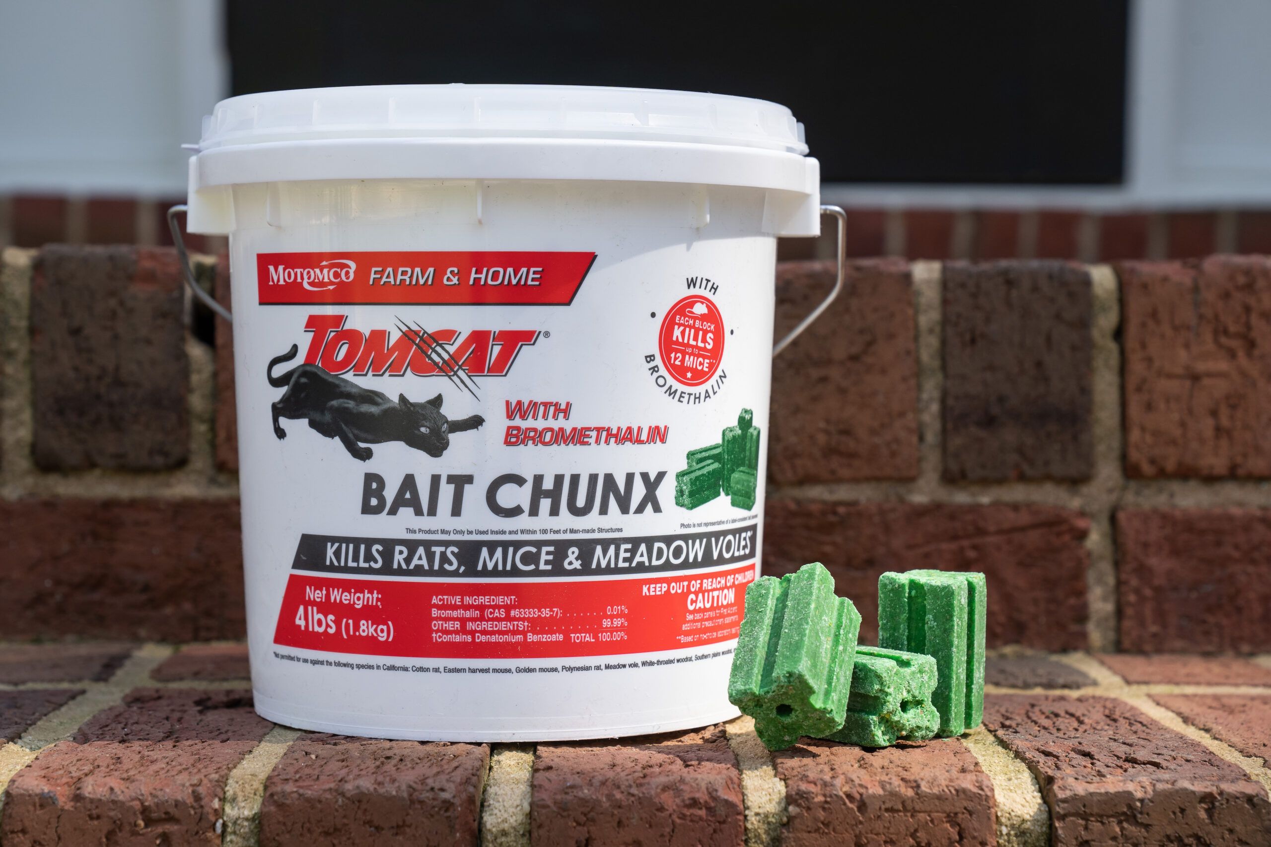 Feature image for the best rat poison guide, shows a white, red, and black bucket of bright green Tomcat brand rat poison pellets.