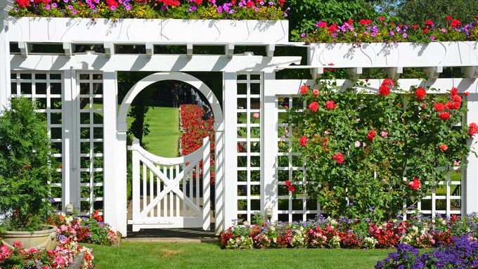 a backyard trellis