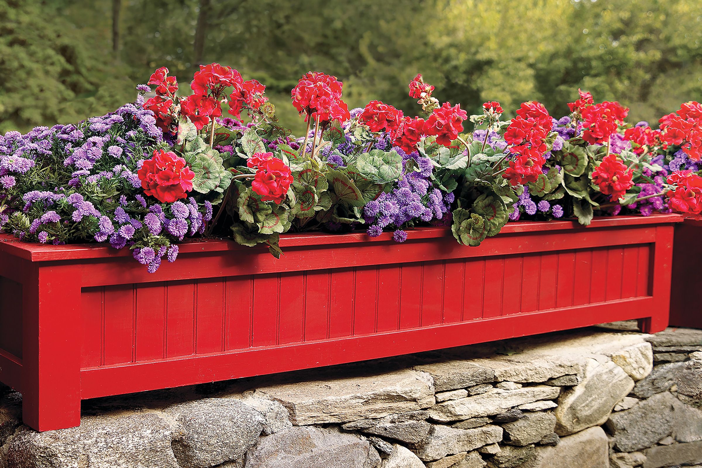 a self-watering planter