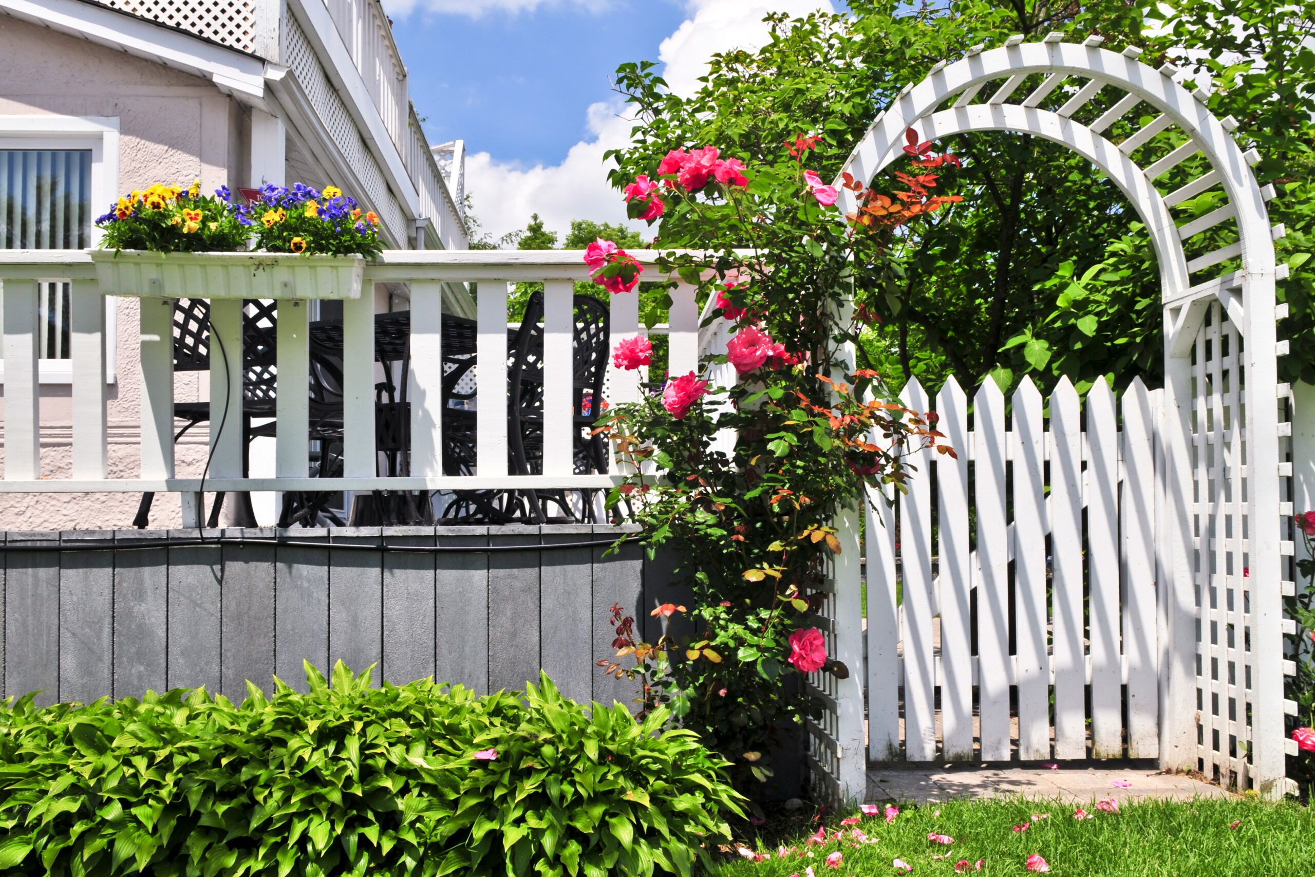 an arbor in a garden