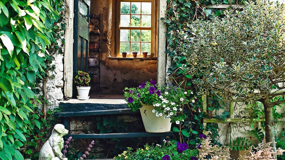 Outdoor steps leading up to a house's entry way surrounded by plants, flowers, and other foliage.