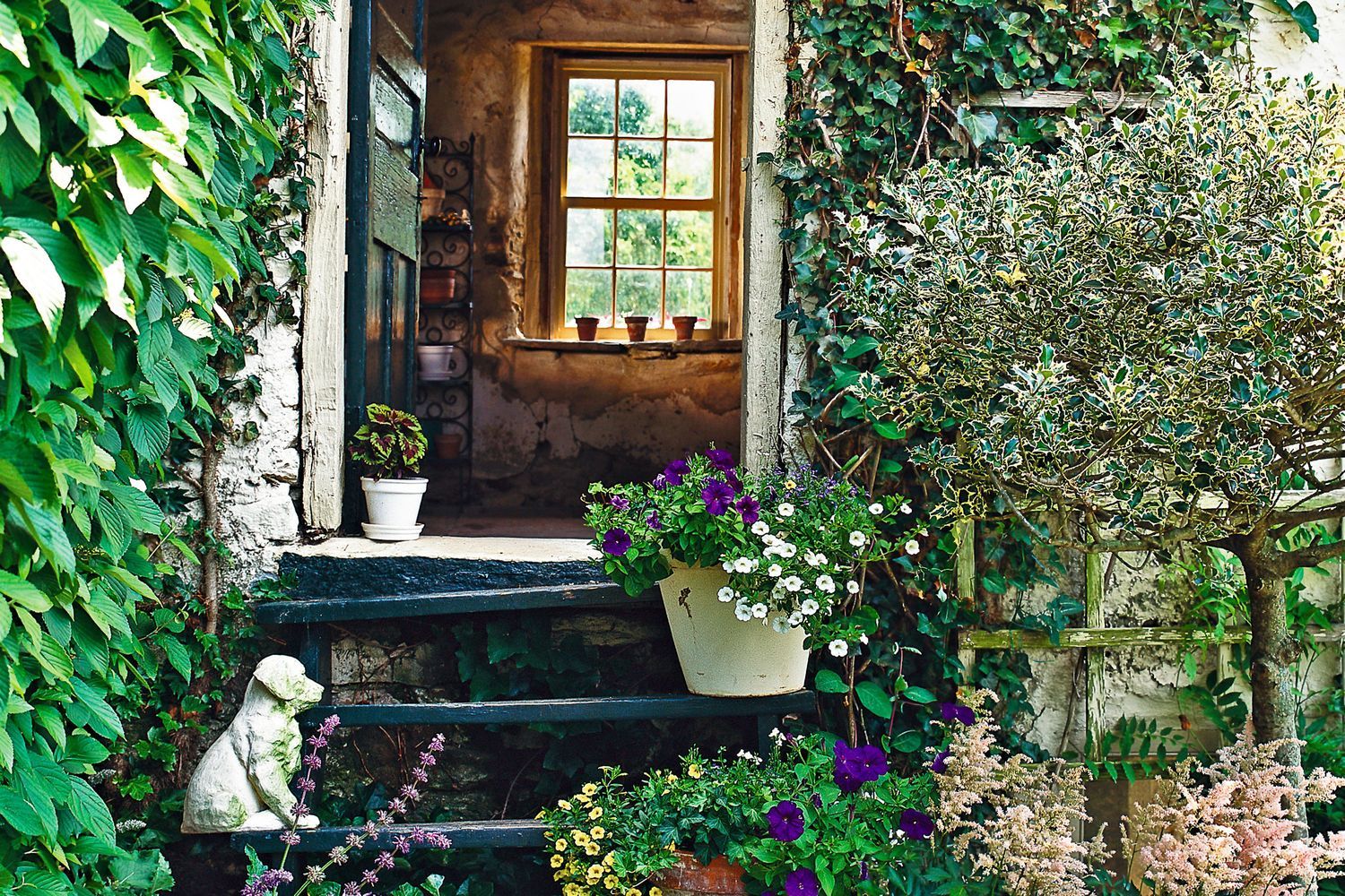 Outdoor steps leading up to a house's entry way surrounded by plants, flowers, and other foliage.