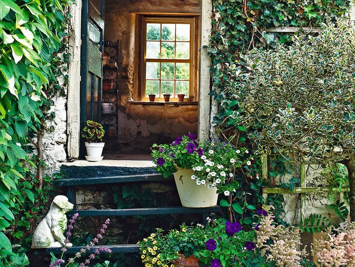 Outdoor steps leading up to a house's entry way surrounded by plants, flowers, and other foliage.