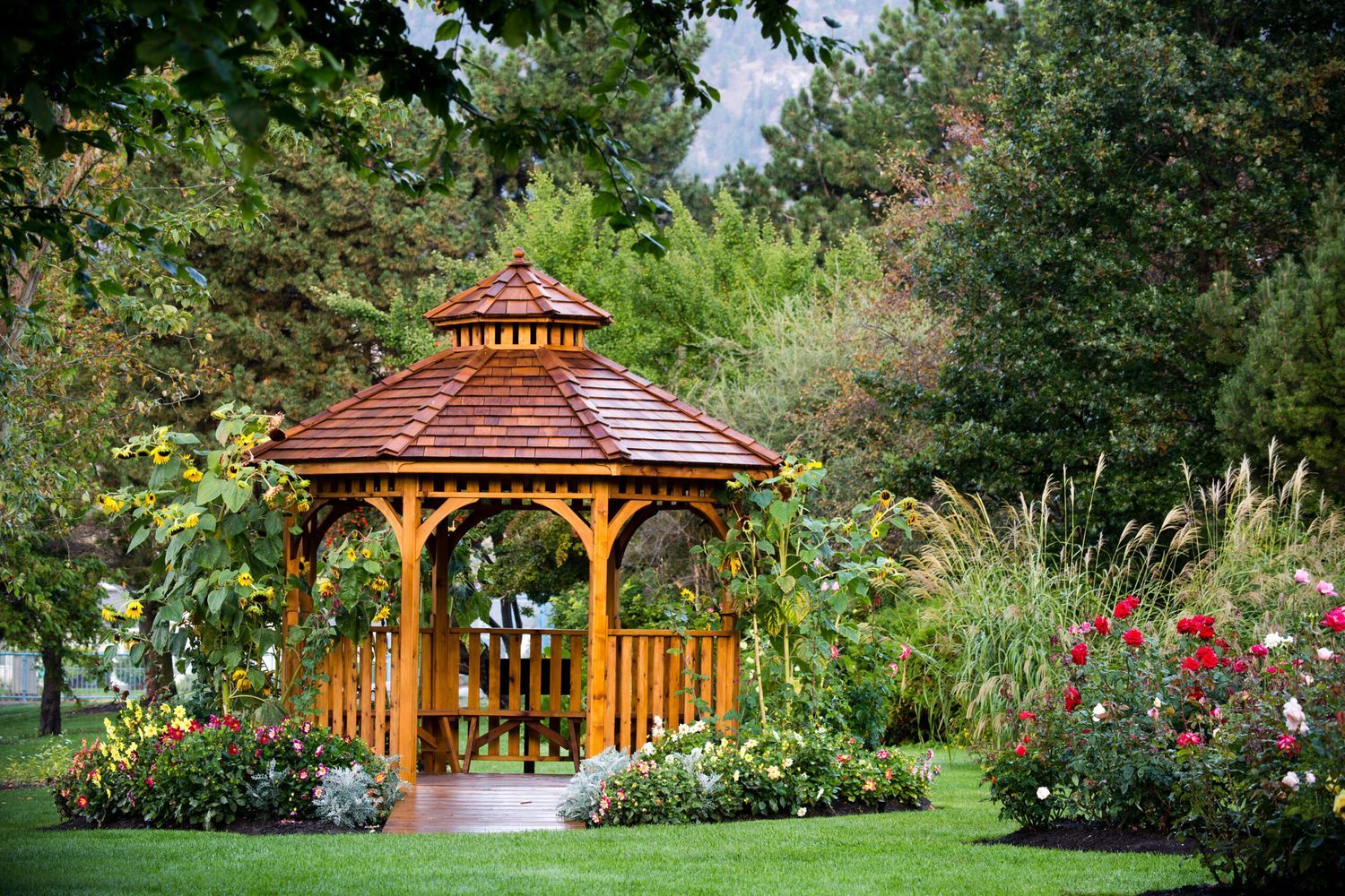 A wooden gazebo surrounded by grass and plantlife.