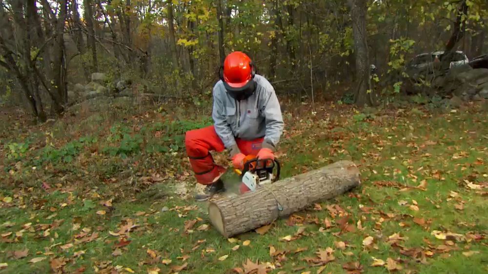 how_to_use_a_chainsaw
