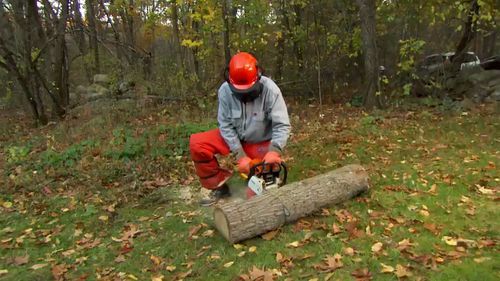 how_to_use_a_chainsaw