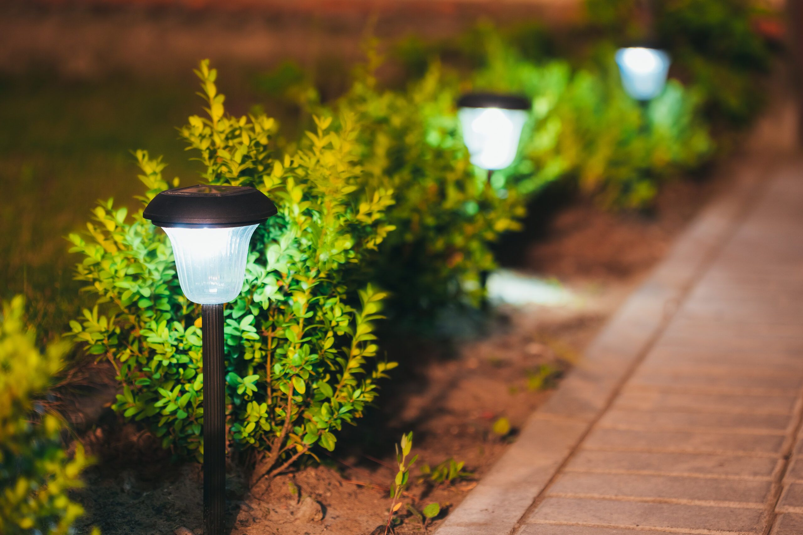 landscape lighting