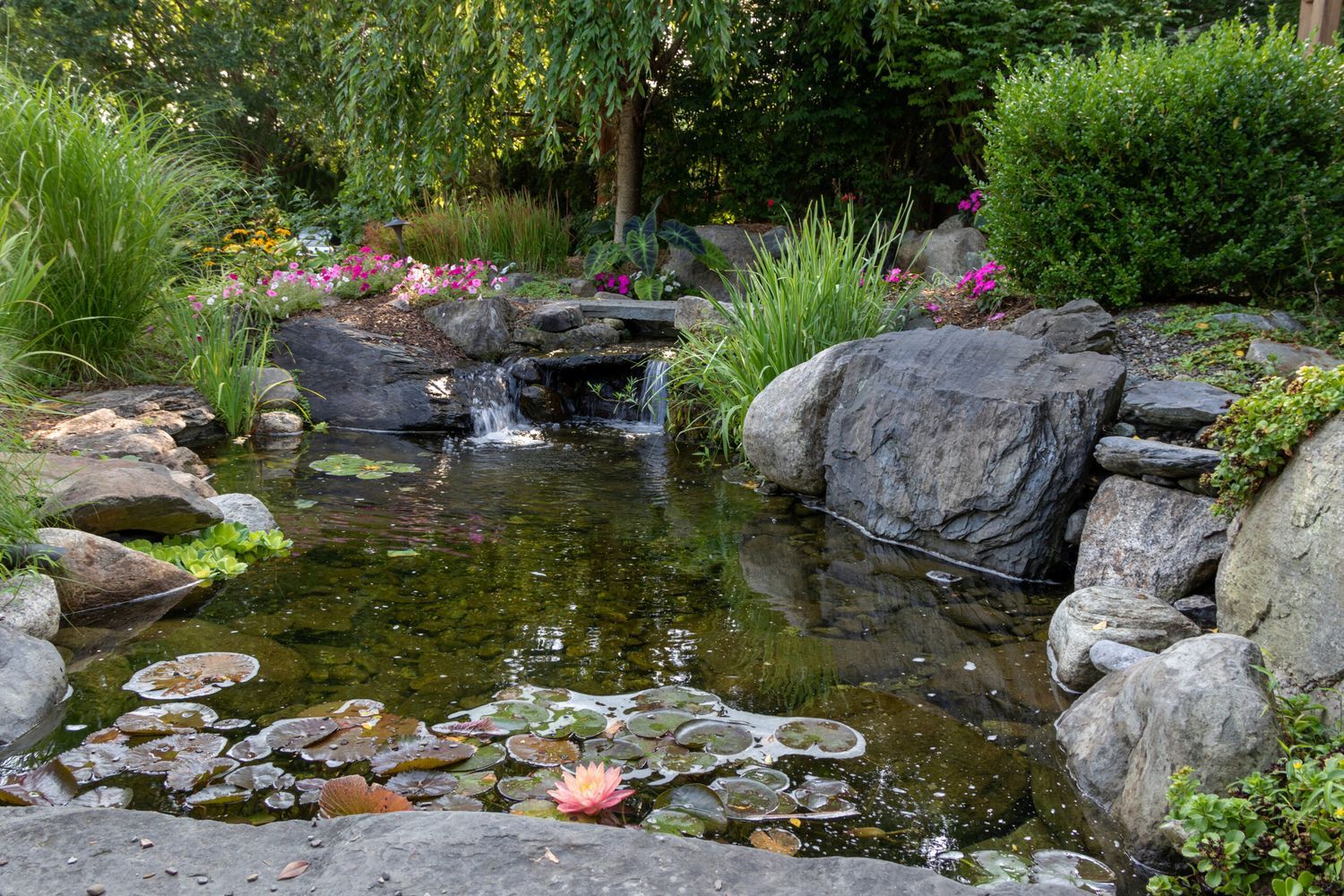 A backyard pond surrounded by stones and green vegetation. There are colorful flowers in the background.