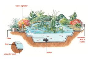 Everything You Need to Know to Build the Perfect Backyard Pond - This ...