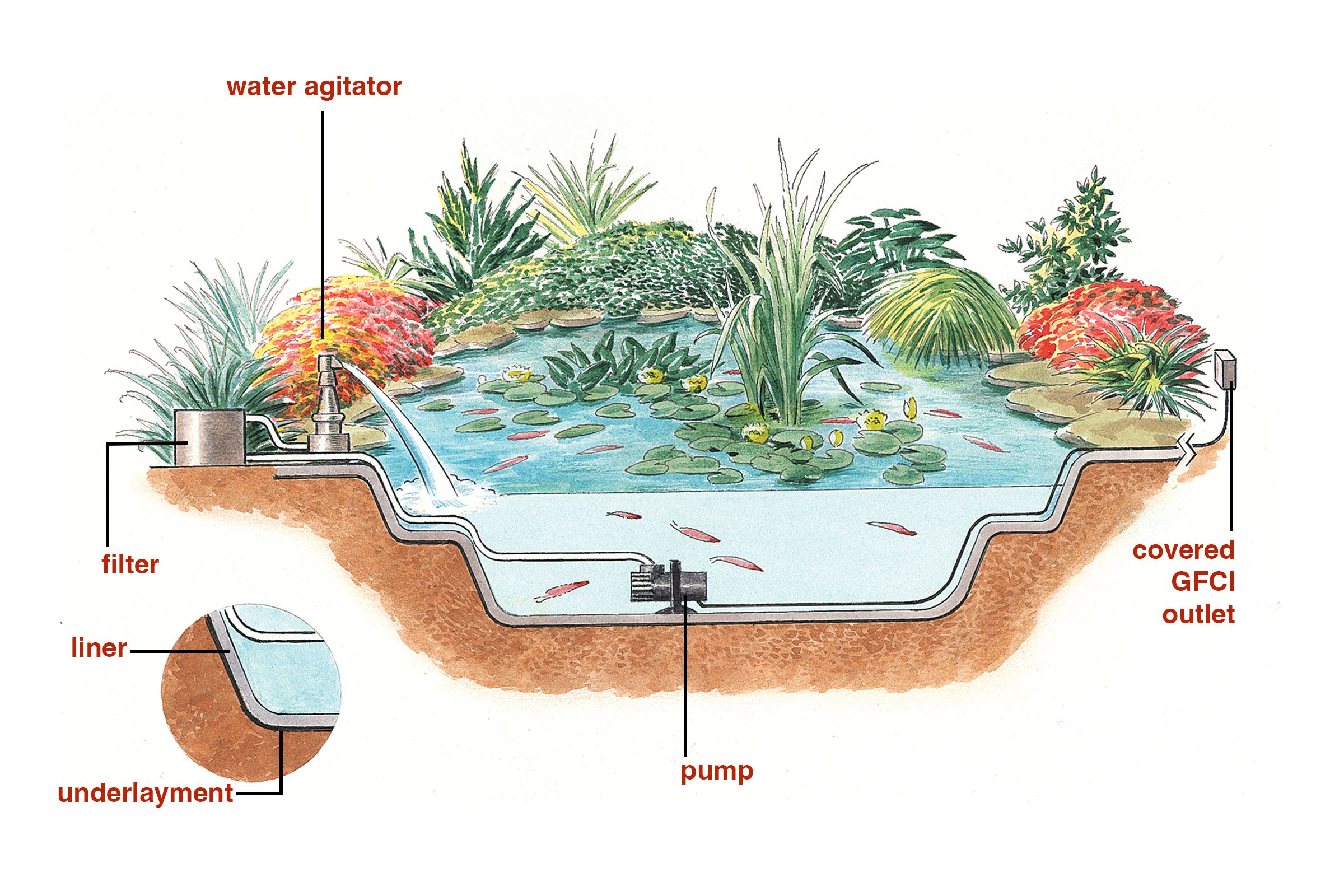 How to Build an Outdoor Pond: Easy DIY Guide for Beginners