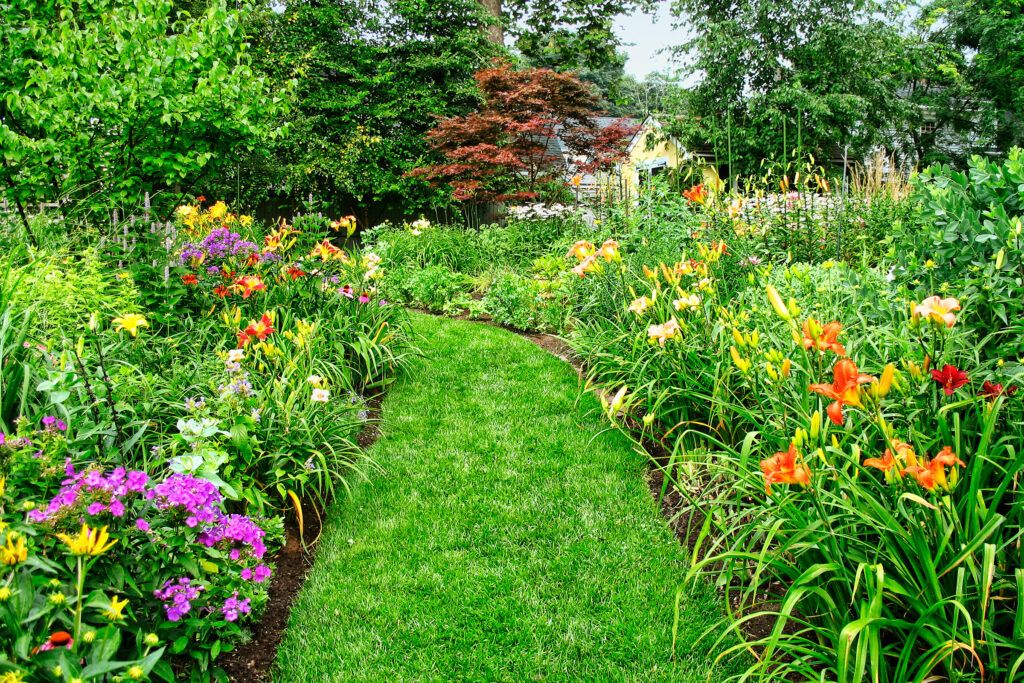 A Yard Goes From Dirt Patch to Perennial Paradise - This Old House