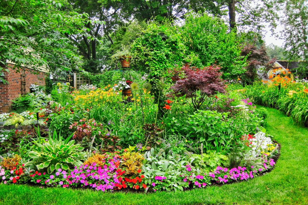 A Yard Goes From Dirt Patch to Perennial Paradise - This Old House