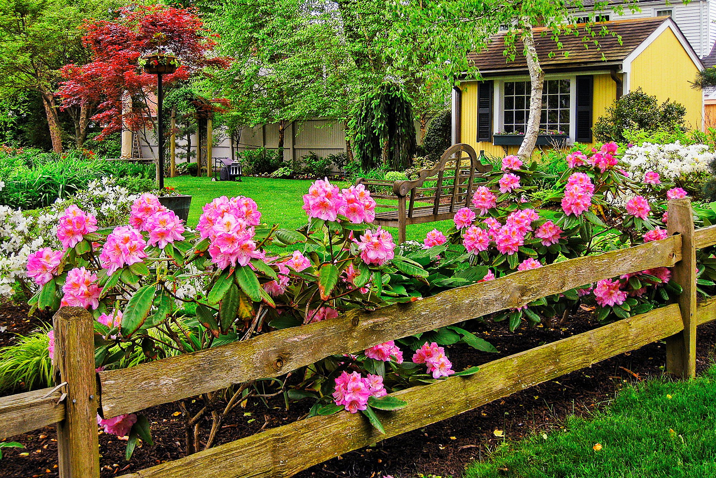 From Blah Lawn to Backyard Rose Garden Paradise - This Old House