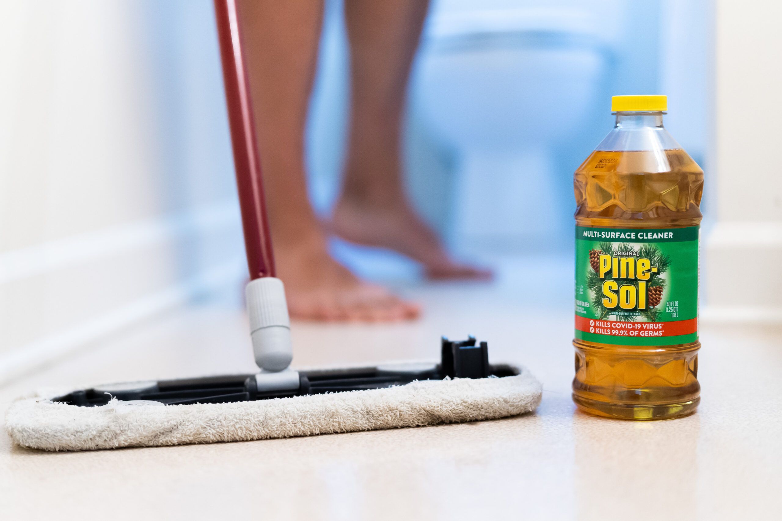 Choosing the Right Cleaning Products To Clean Floors With Dogs