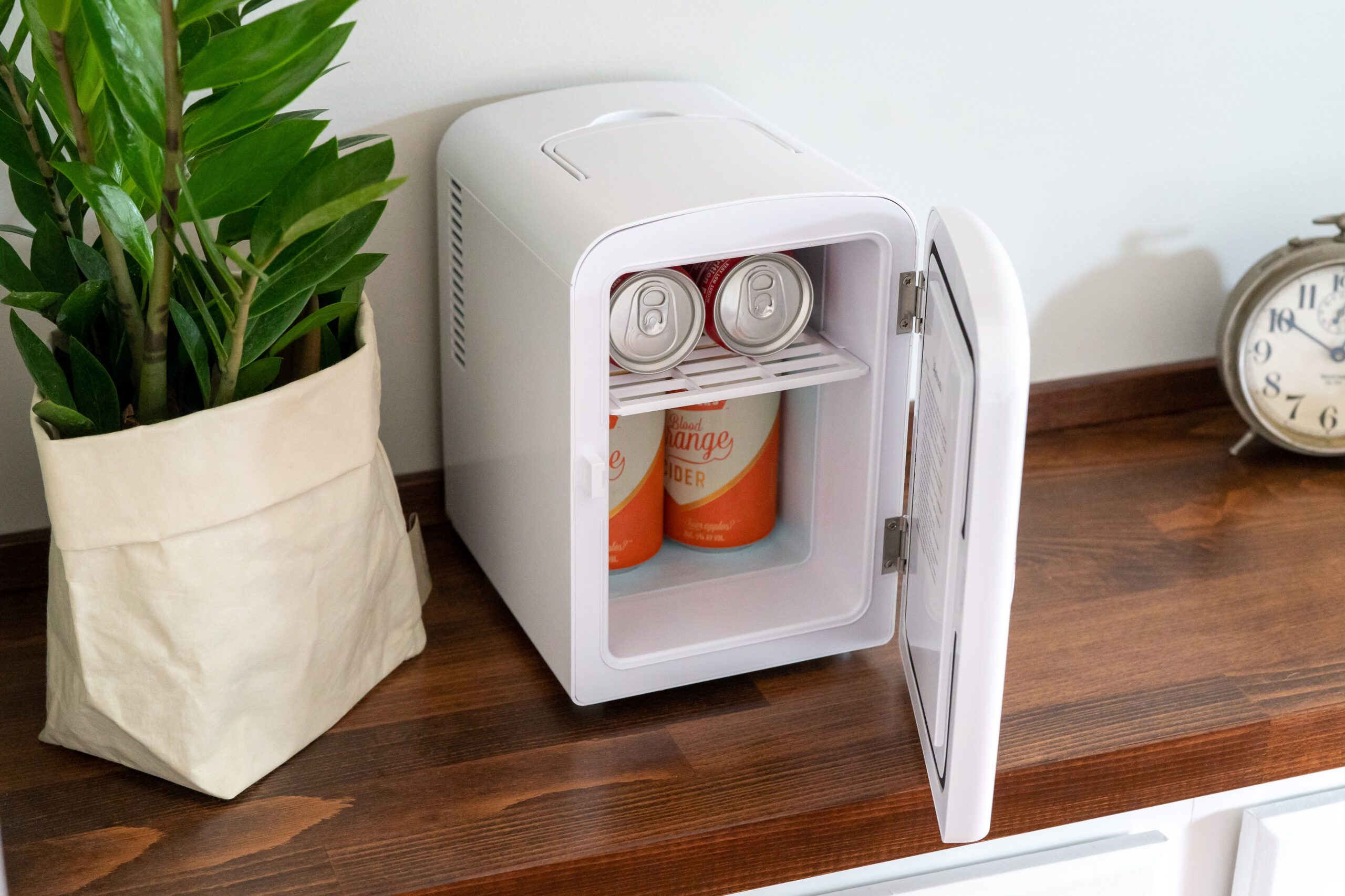 10 Must-Haves for Organizing a Mini Fridge