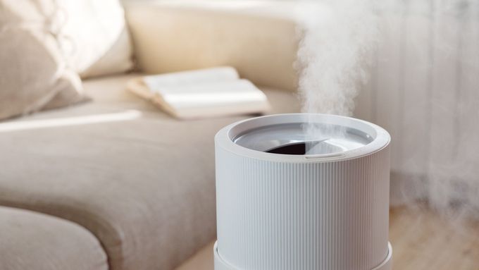 Humidifier in living room