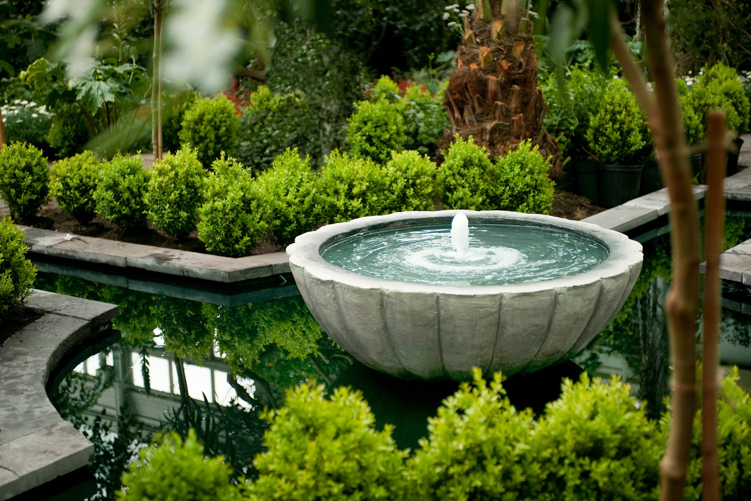 White basin fountain surrounded by green shrubs.