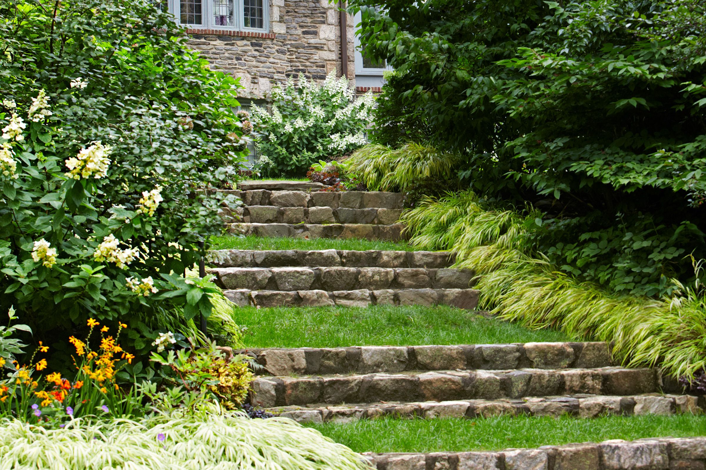 Beautiful Hillside Garden