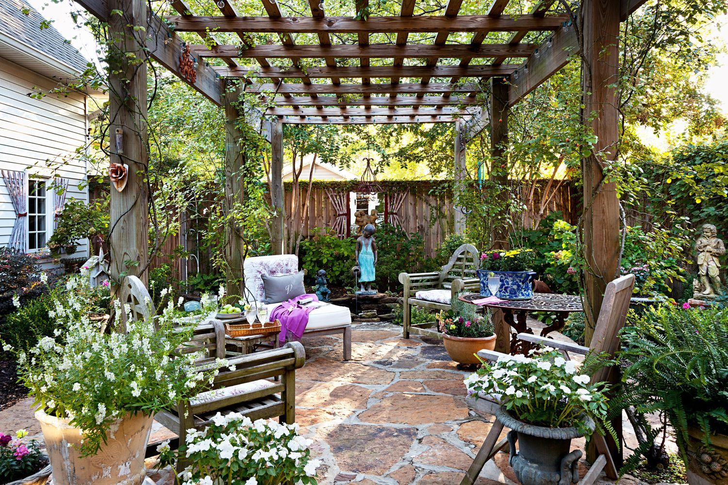 vines growing on a pergola