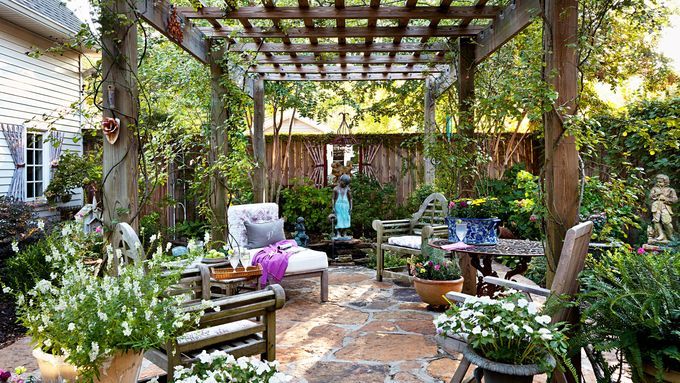 vines growing on a pergola