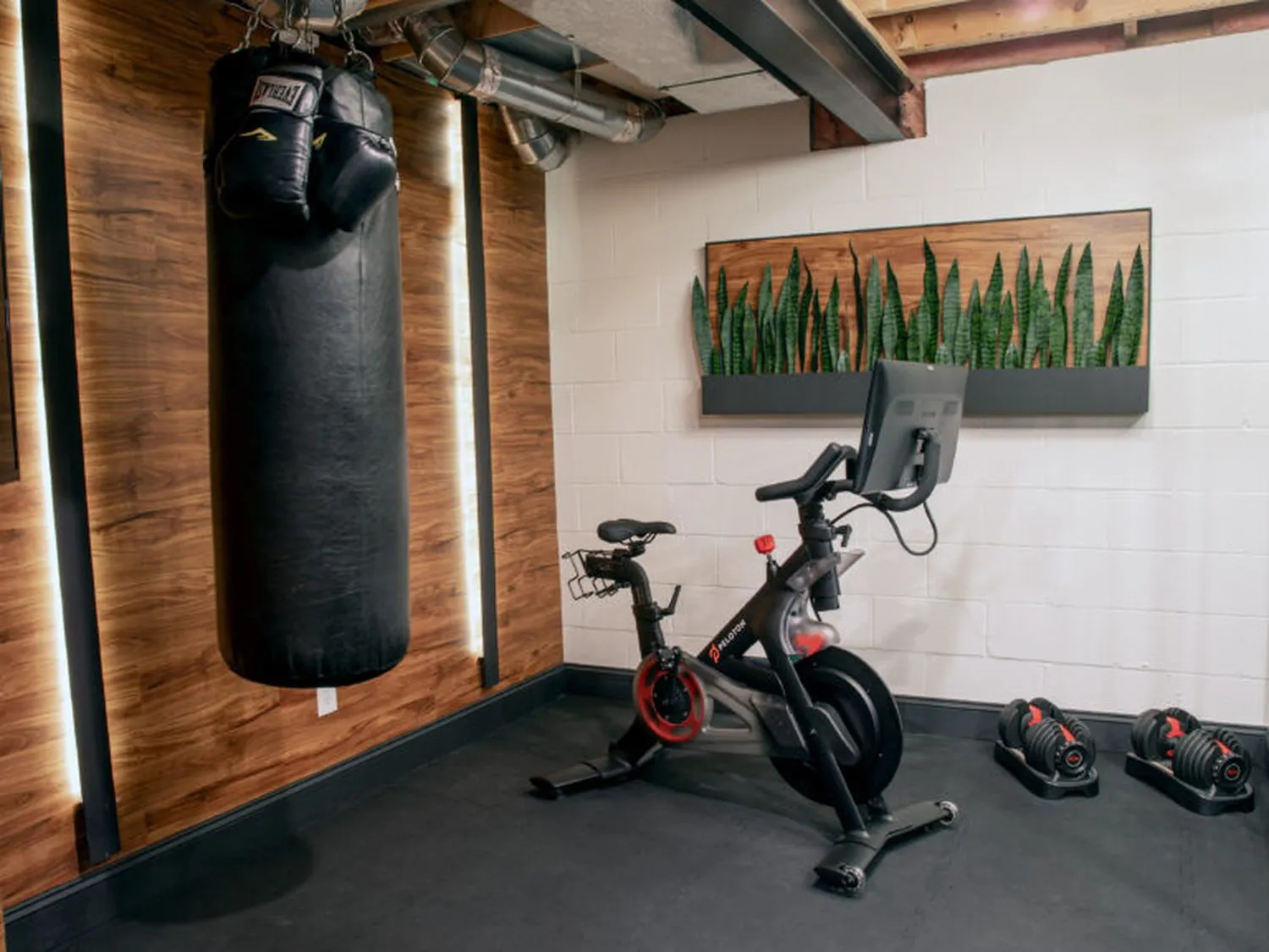 FitnessRoom_7C6A6061