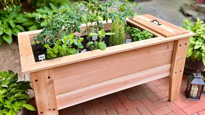 Self-watering planter built by Sal Vaglica