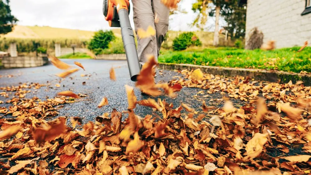 best leaf blowers buying guide, best leaf blower hero image