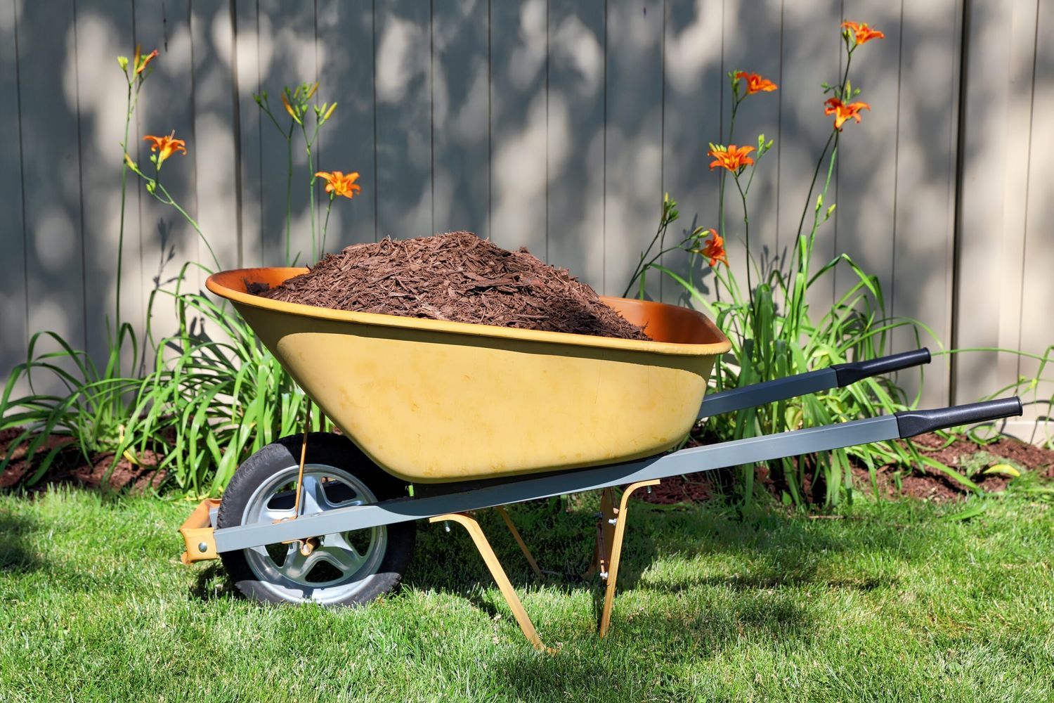 Mulch_iStock_1406527921