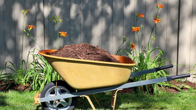 Mulch_iStock_1406527921