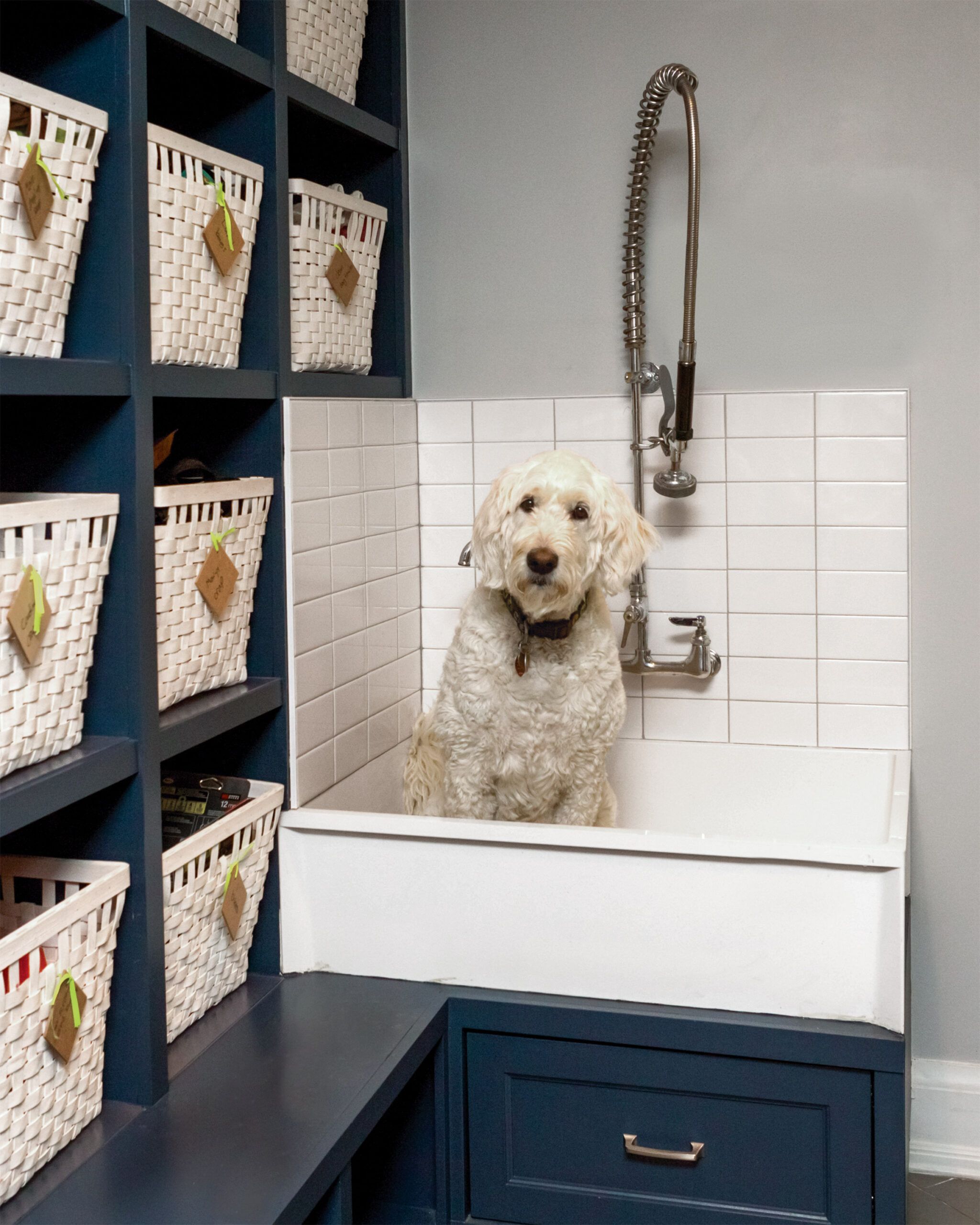 Built in dog store shower