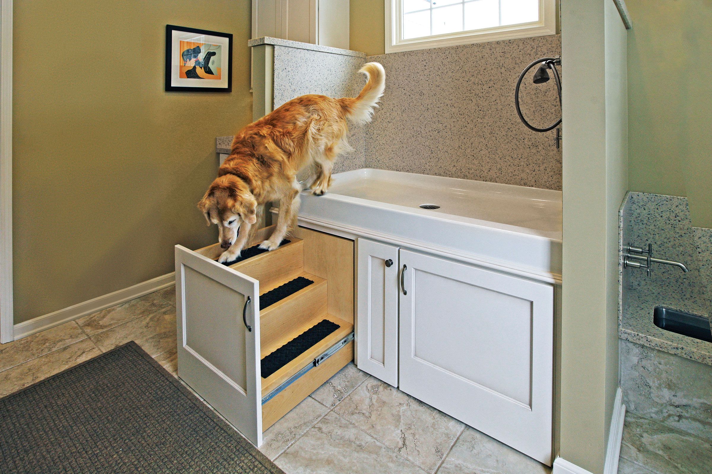 Architectural Series Dog Wash Tub Rear Entrance