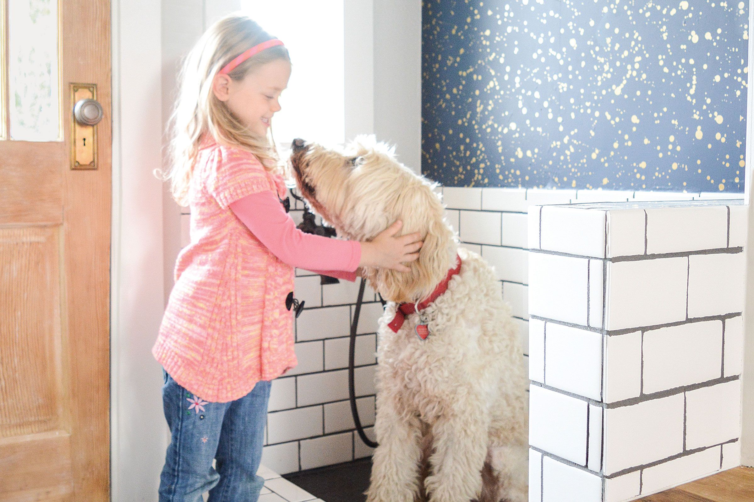 Pet Wash Services - Golden Nozzle