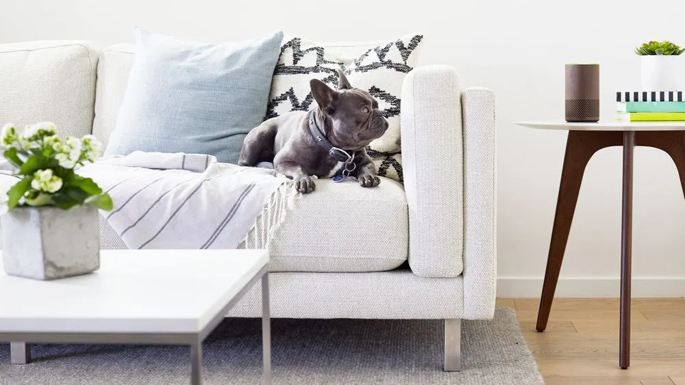 Walnut_Echo__Living_Room_Hires