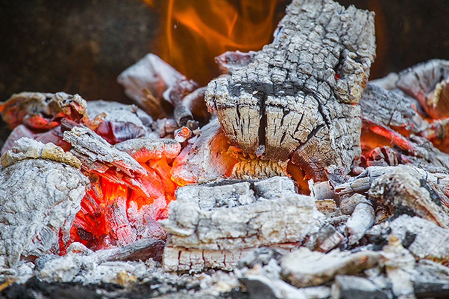 Tout5_iStock_615603208.7