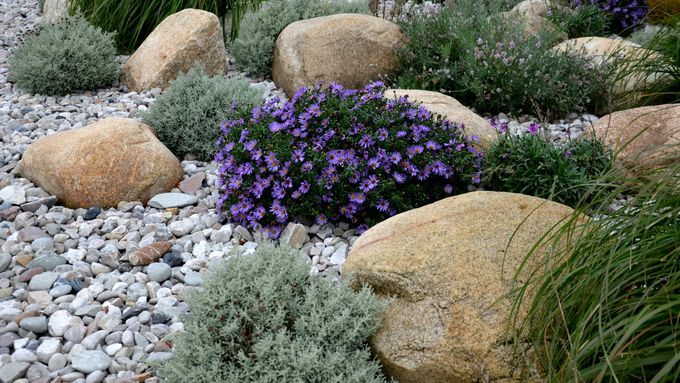 Rock garden created using a variety of landscaping rocks and plants.