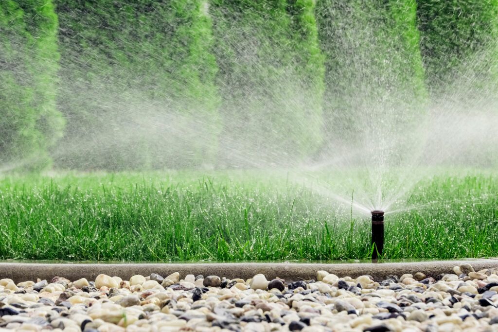 rotor sprinkler