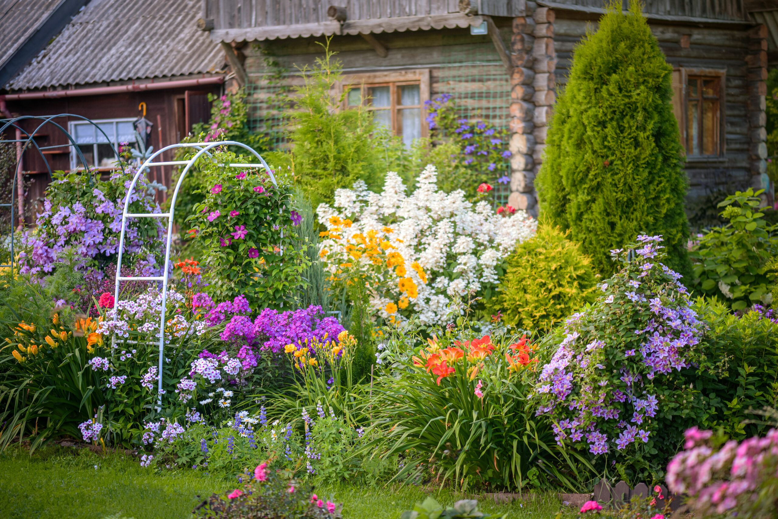 what plants don't like epsom salt