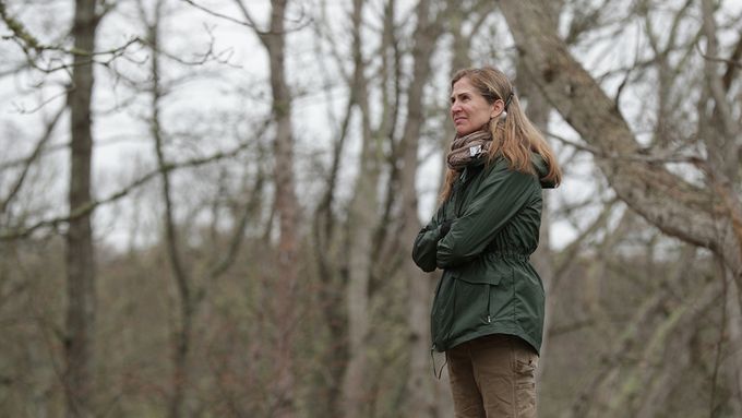 Senior Series Producer Sara Ferguson stands with her arms crossed in a green jacket outside in a forest. She has long hair and appears to be looking thoughtfully into the distance. The background is filled with leafless trees.