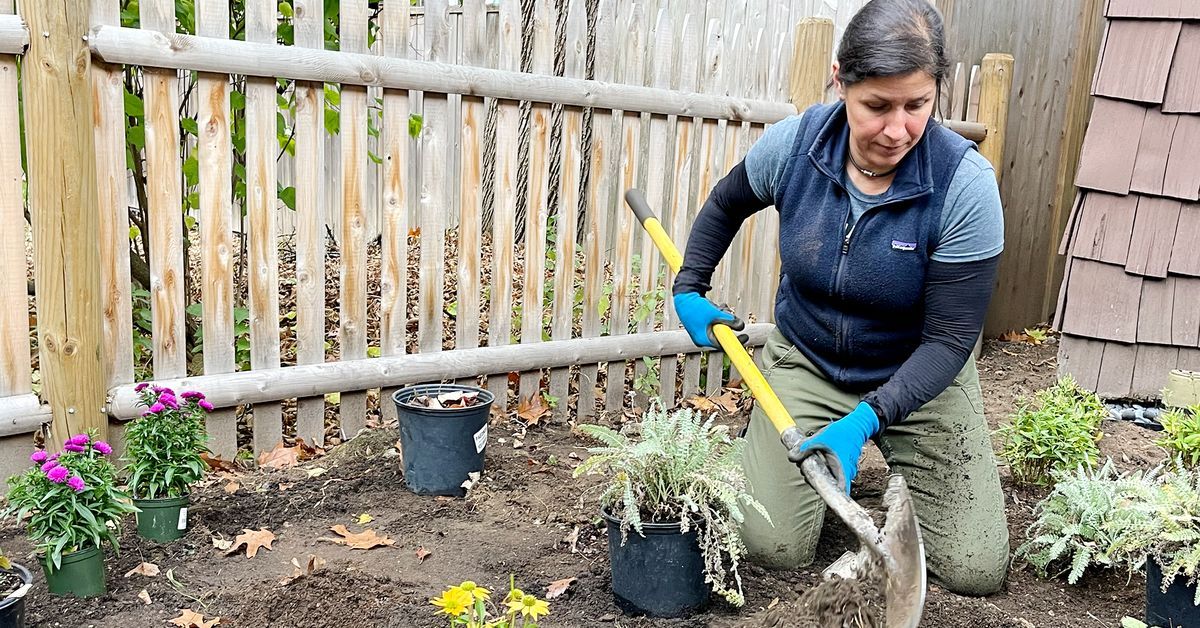 S21 E20, Jenn Nawada installs a sun and shade garden